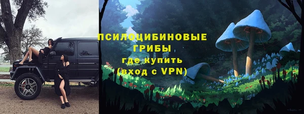 молекула духа Гусиноозёрск